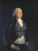 Francisco Goya Don pedro,duque de osuna oil painting
